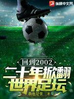 世界足球2002